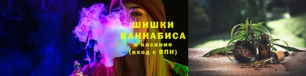 молекула духа Бронницы